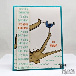 Need a Birthday Card for Teenagers?