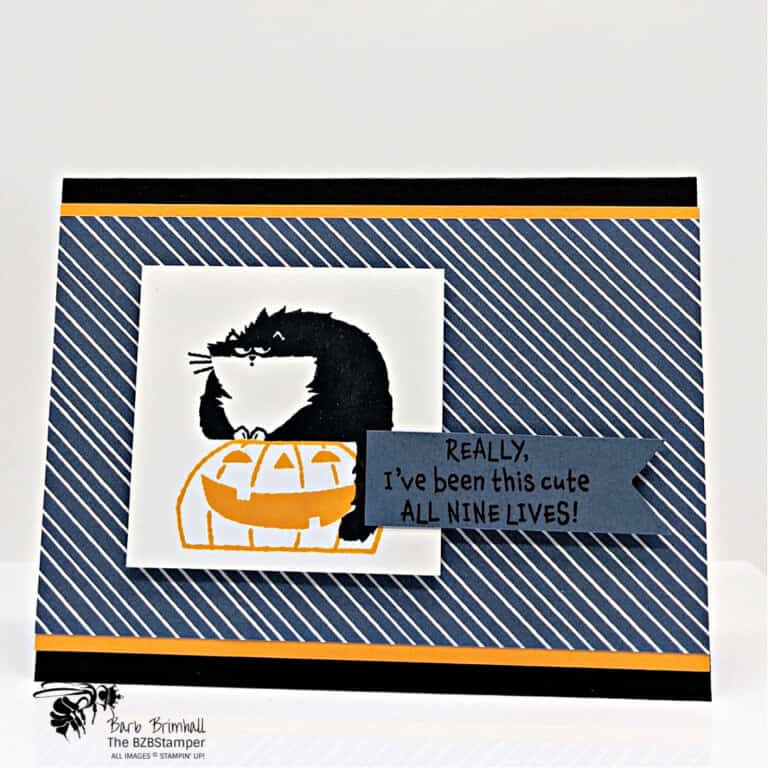 Clever Cat by Stampin' Up!