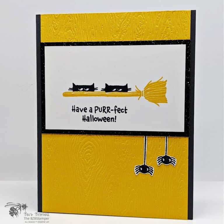 Clever Cat Stamp Set by Stamping Up For Halloween