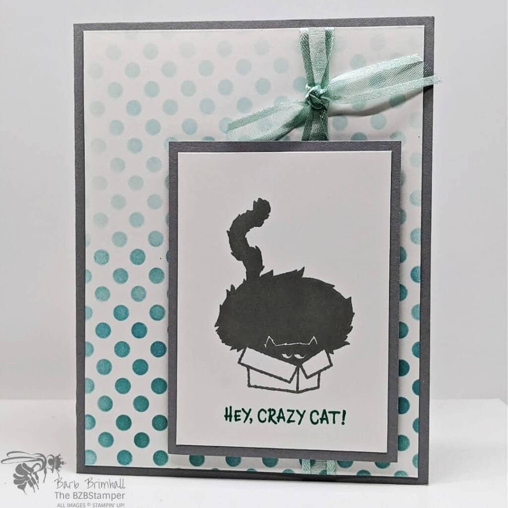 A Sweet and Simple Crazy Cat Card