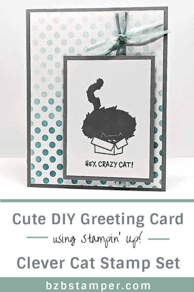 Crazy Cat card featuring the Clever Cat Stamp Set by Stampin' Up!