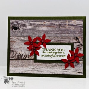 Stampin Up Poinsettia Petals Stamp Set and Dies