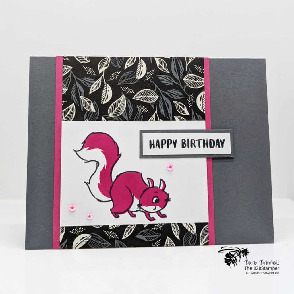 A Pink Squirrel Birthday Card?