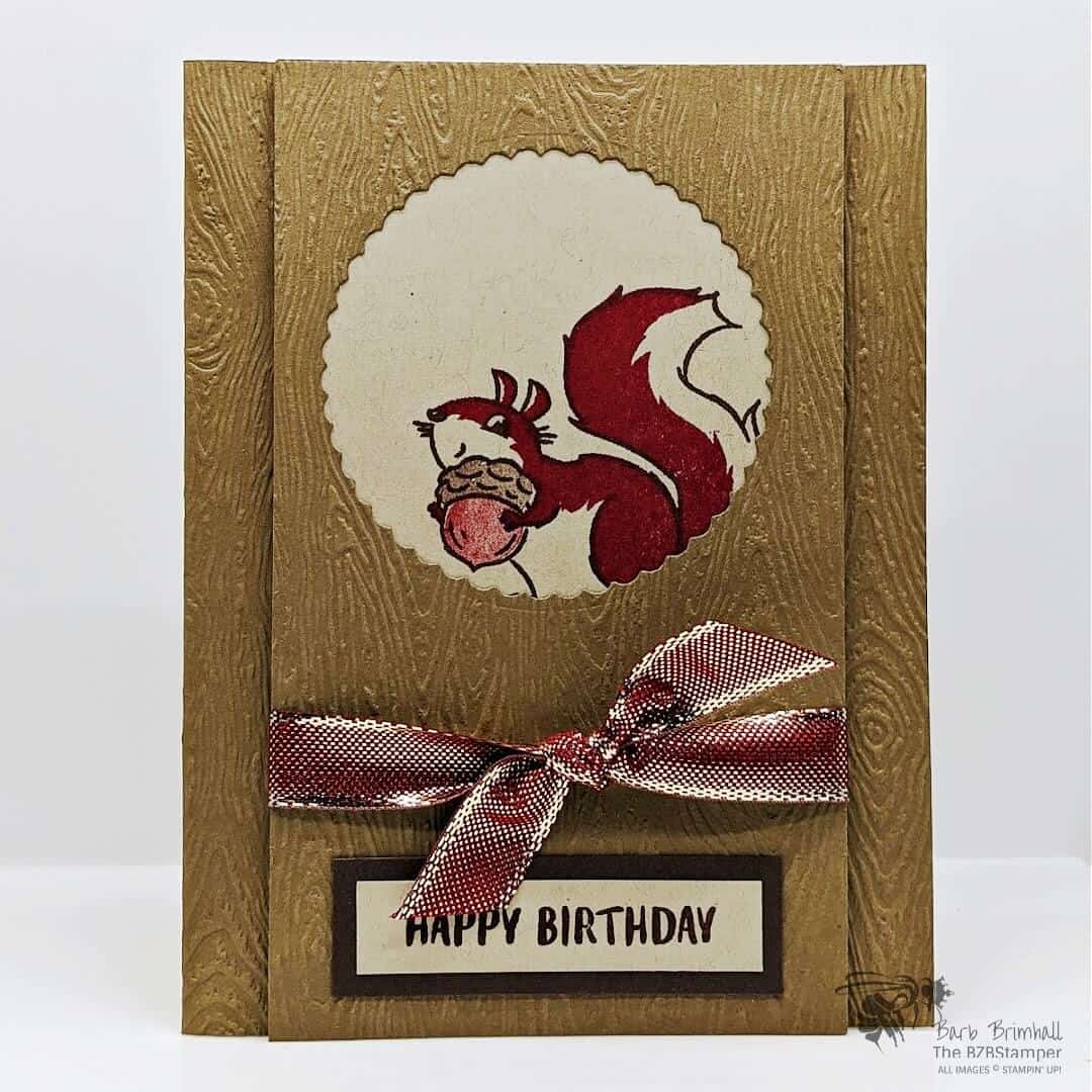 Nuts About Squirrels Birthday Card