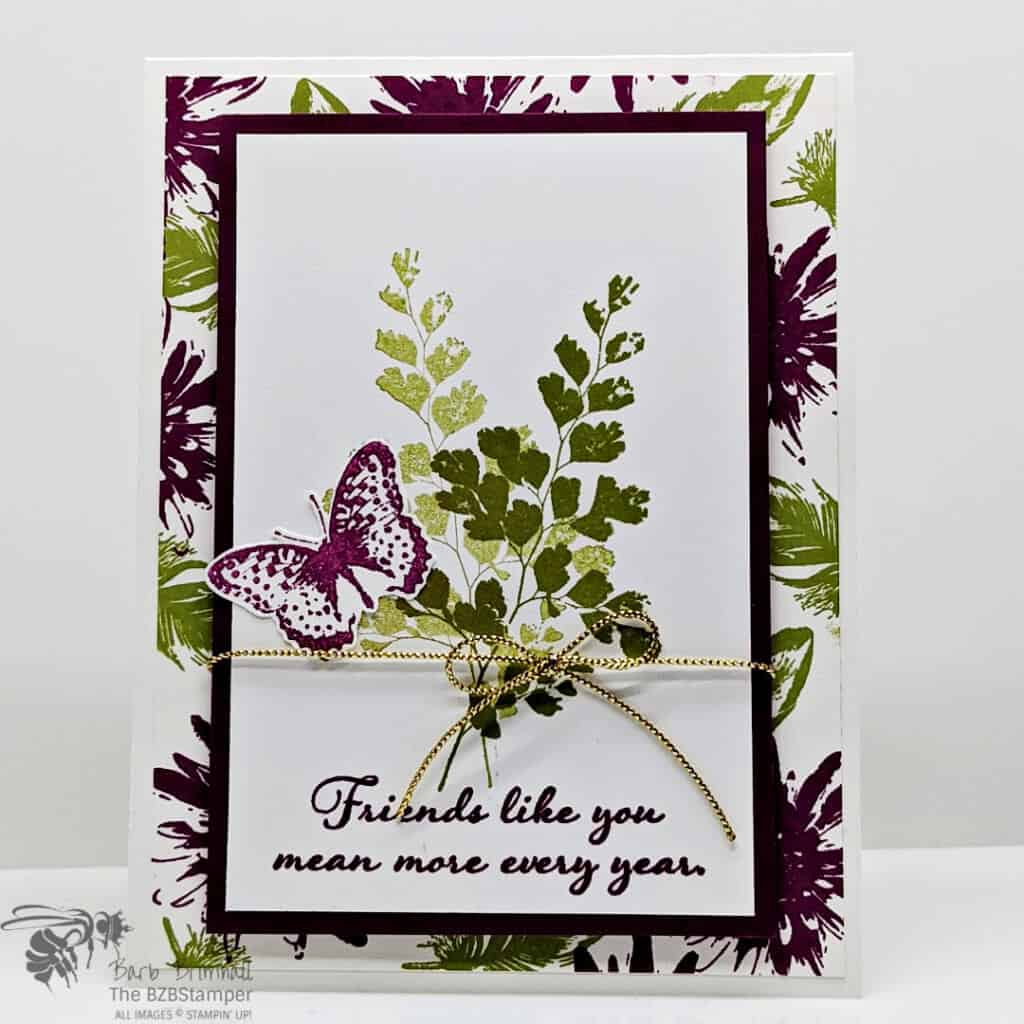 Friendship card in Rich Razzleberry and Old Olive using Postive Thoughts Stamp Set