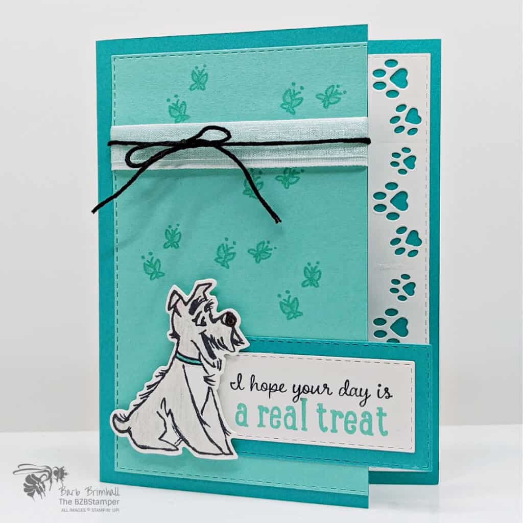 Cute Pampered Pets Handmade Greeting Card