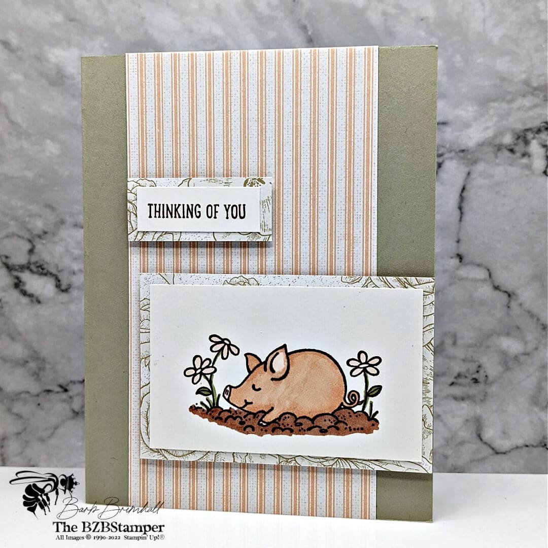 This Birthday Piggy Stamp Set | Barb Brimhall, The BZBStamper