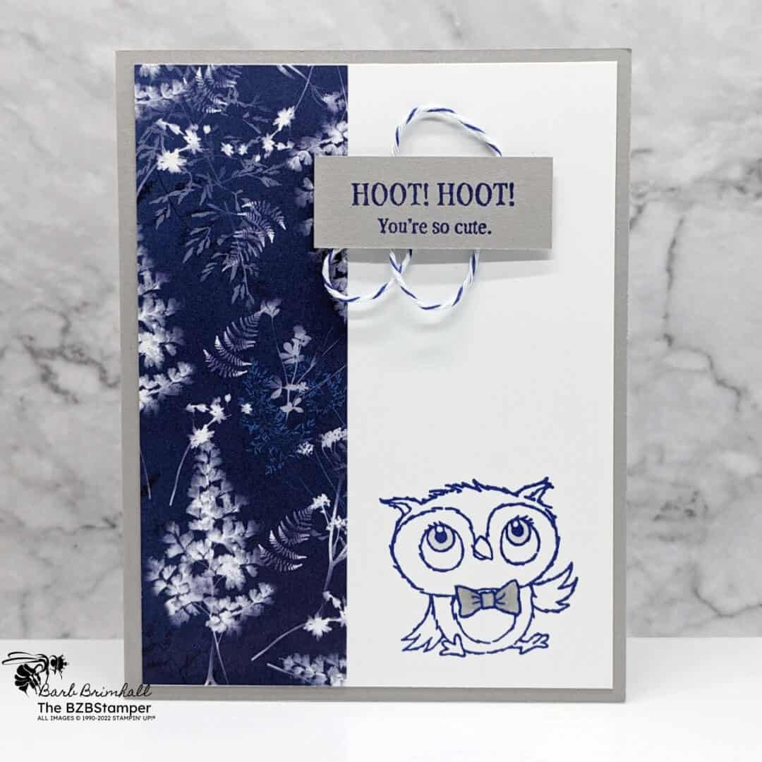 Adorable Owls Thinking of You Card