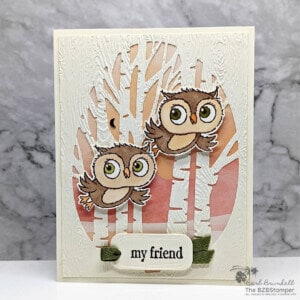 012423 adorable owls all occasion