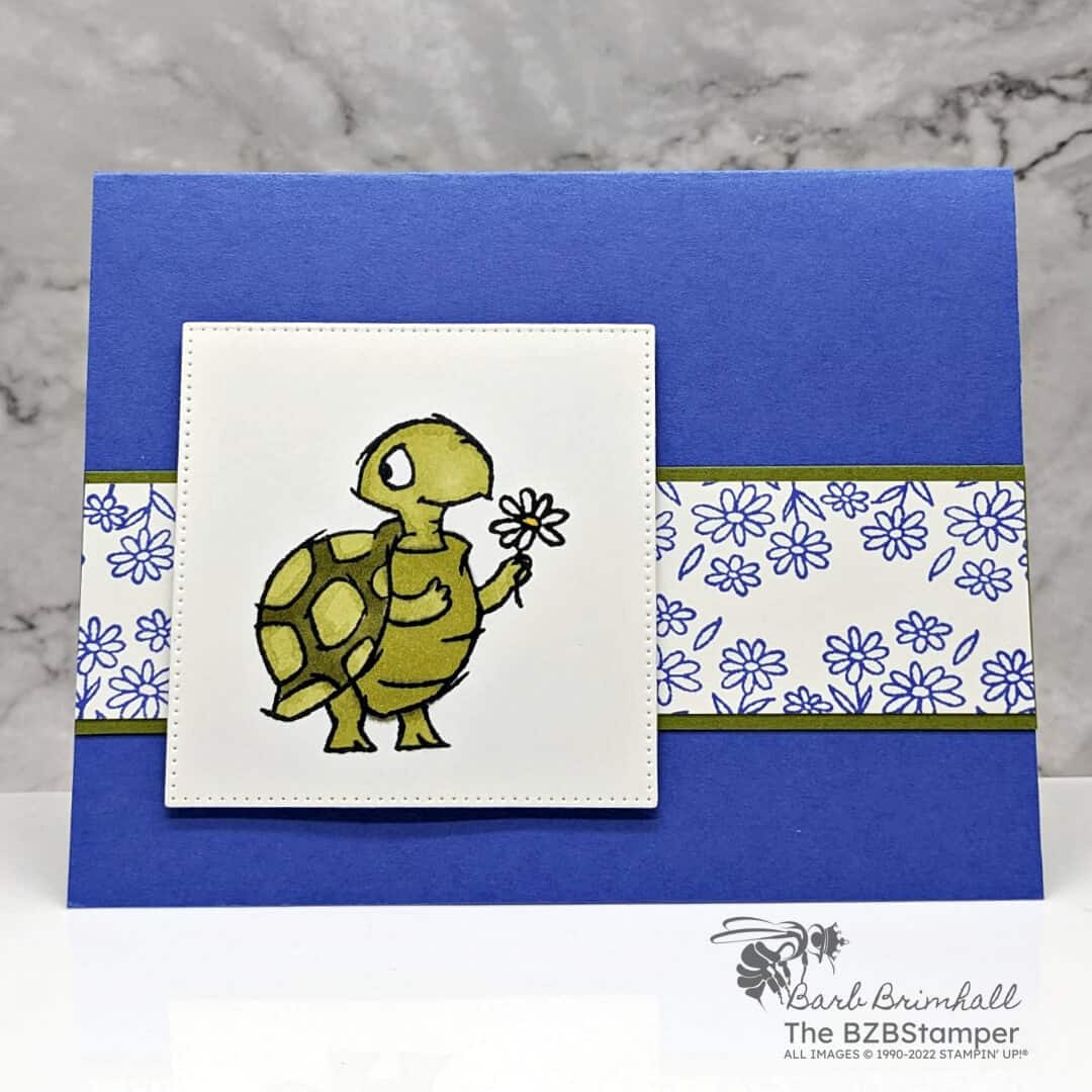 Quick and Easy Handmade Turtle Card