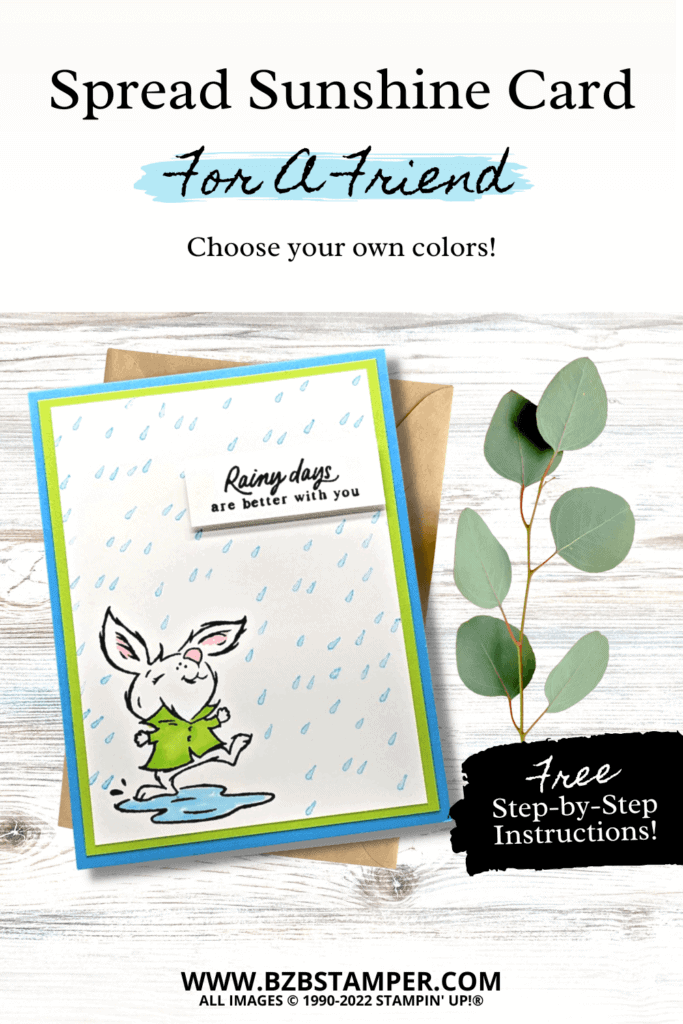022723 stampin up playing in the rain pin2