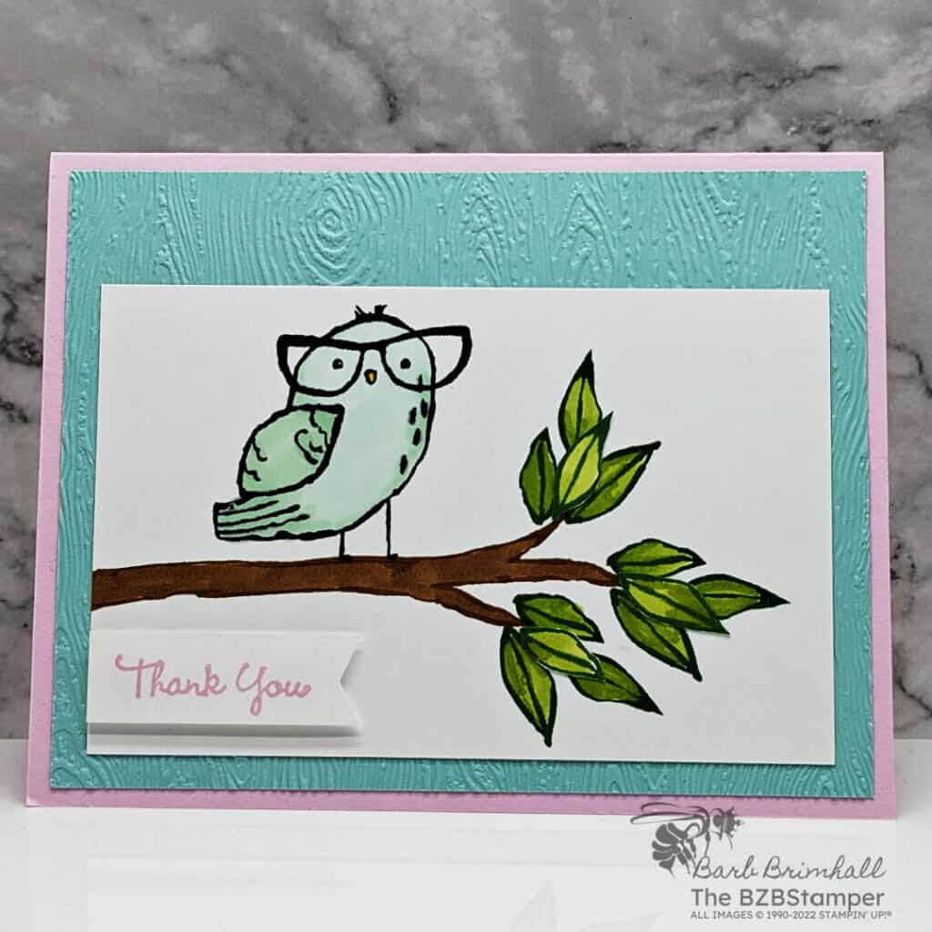 Handmade Card Idea using the Birds Eye View Stamp Set