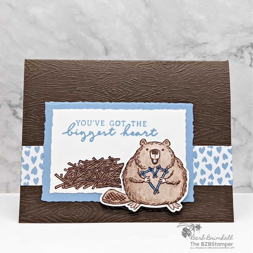 Fluffiest Friends Bundle by Stampin' Up! featuring beaver in blues and browns. Greeting is "you've got the biggest heart"