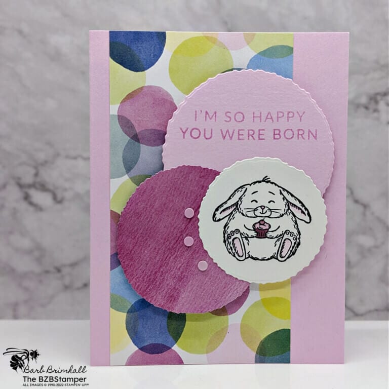 Bunny Bliss with the Fluffiest Friends Bundle 1 Bunny Bliss with the Fluffiest Friends Bundle by Stampin' Up! Features fun paper in circles in pinks, purples and green with a cute bunny holding a cupcake images and a sentiment of I'm so happy you were born.