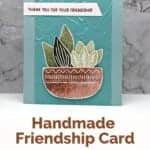 Thank You Card using Planted Paradise Stamp Set featuring a pot with leaves in it in blues, browns and greens and a "thank you for your friendship" sentiment.