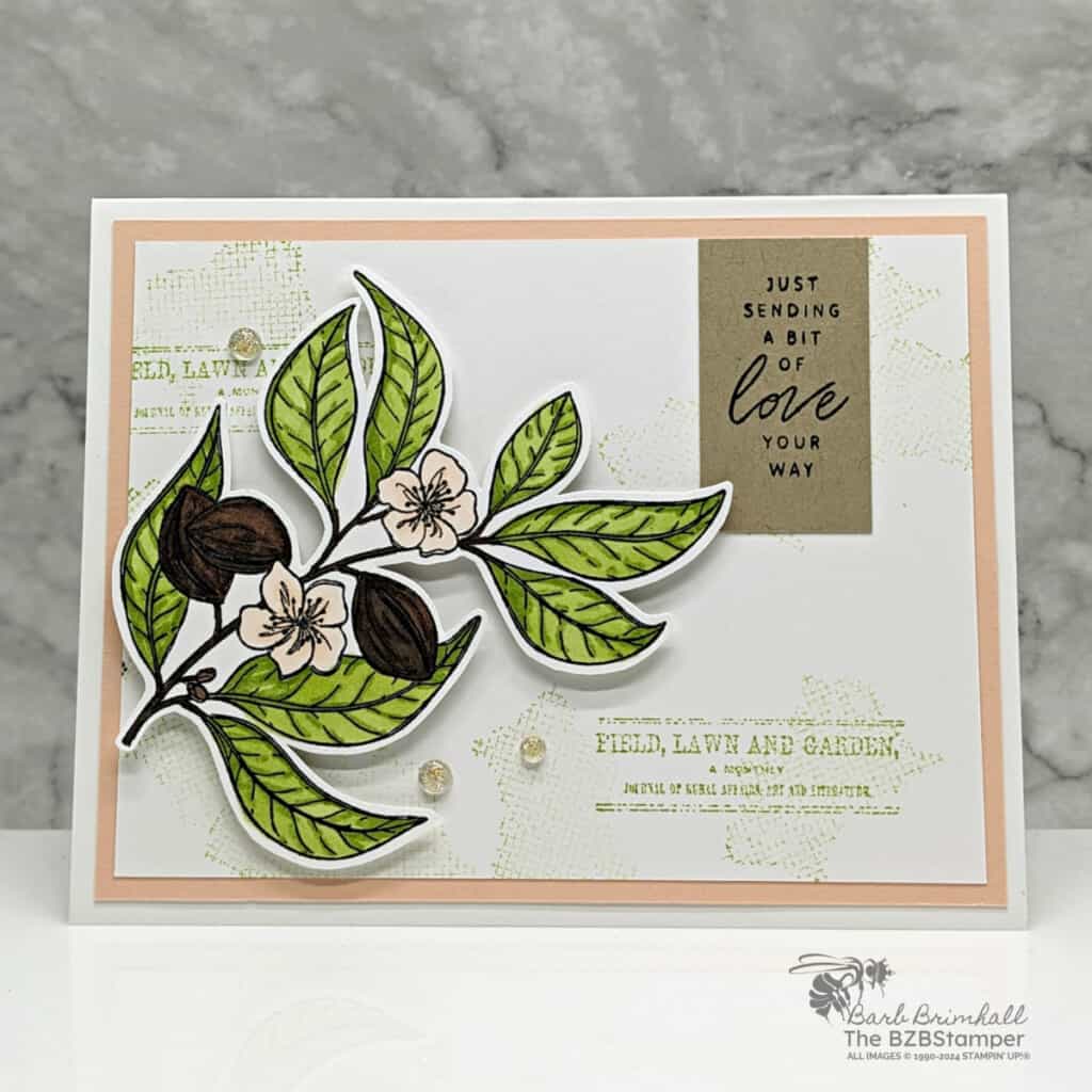 Lovely and Sweet Bundle by Stampin Up