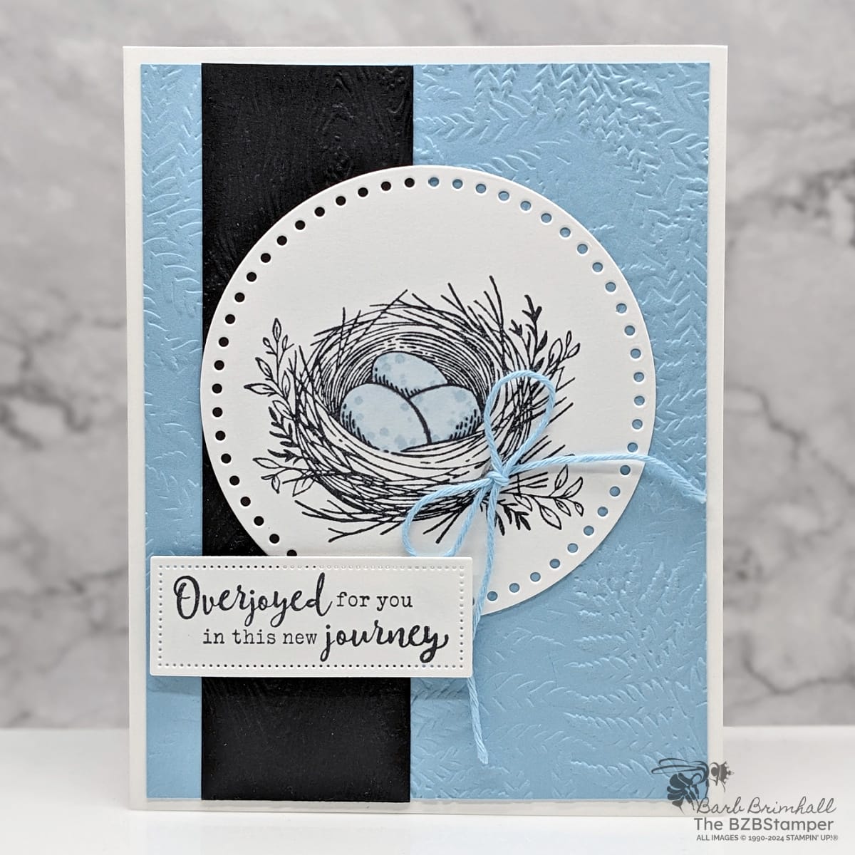 Baby Card using the Everyday Details Stamp Set featuring a nest with blue eggs, blue background and a sentiment of "overjoyed for you in this new journey."