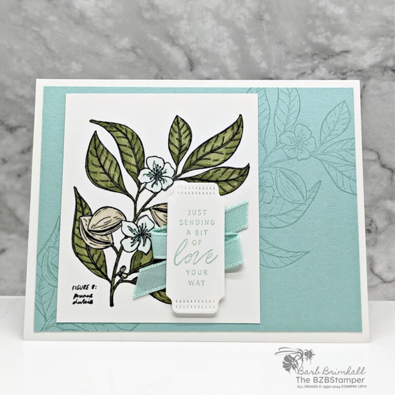 All-Occasion Card using the Lovely and Sweet Bundle 1 All-Occasion Card using the Lovely and Sweet Bundle