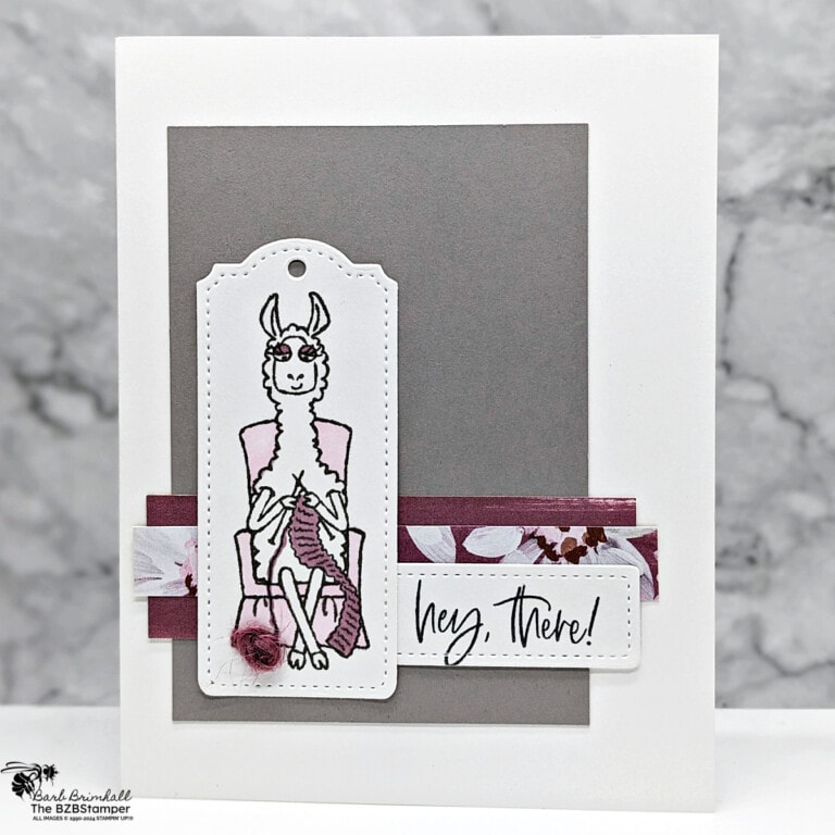 Time to Get Crafty with the Zany Zoo Stamp Set