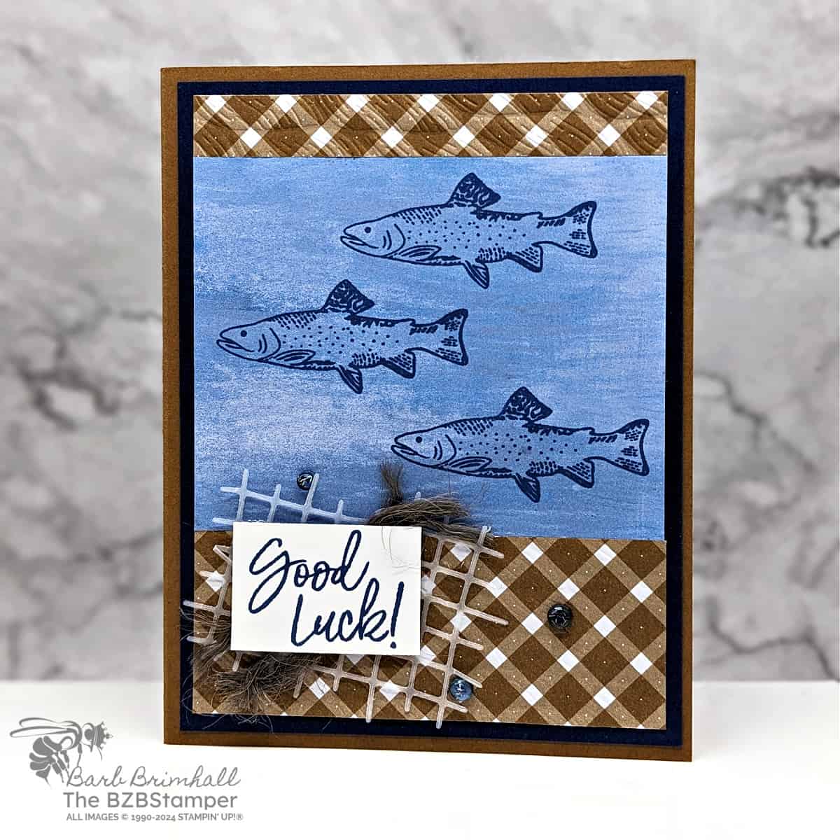 Reel In Joy with the Gone Fishing Stamp Set in browns and blues featuring fish swimming an plaid paper as background.