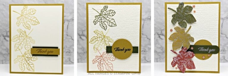 3 Cards using the Changing Leaves Stamp Set - Barb Brimhall, The BZBStamper