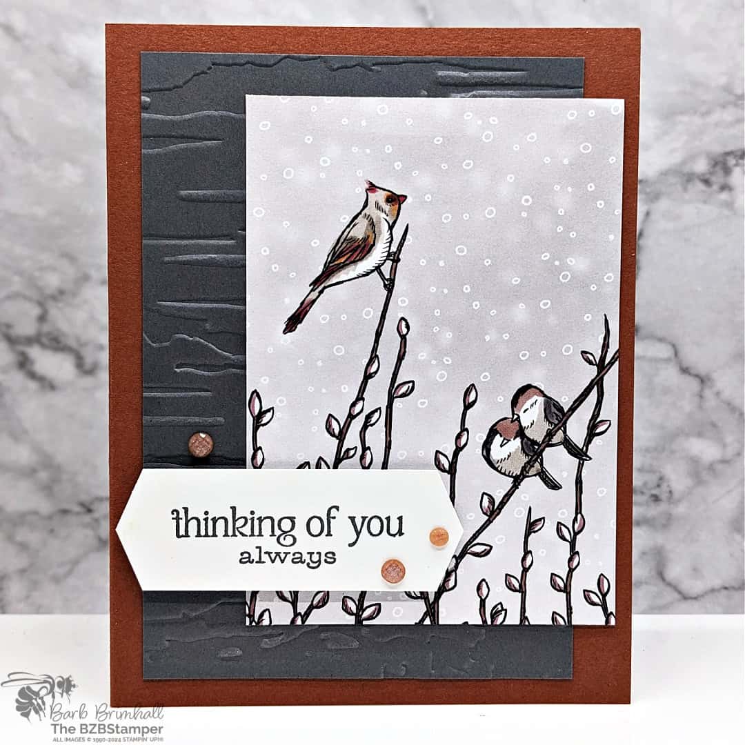 Thinking Of You Card with the Winterly Tree Tops Stamp Set featuring some pretty paper with birds in Earth Tone colors, as well as a "thinking of you always" sentiment.  