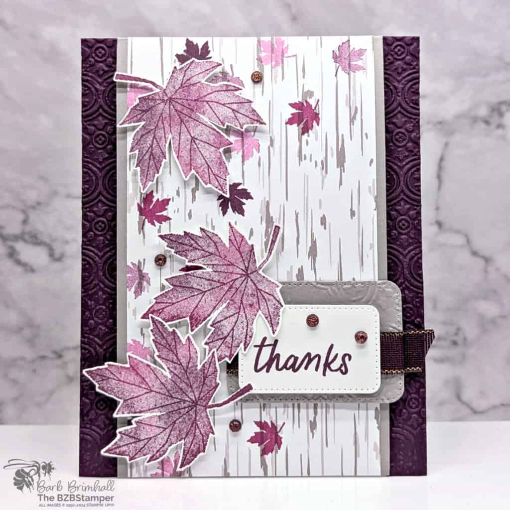 102024 stampin up autumn to remember sius 3qb