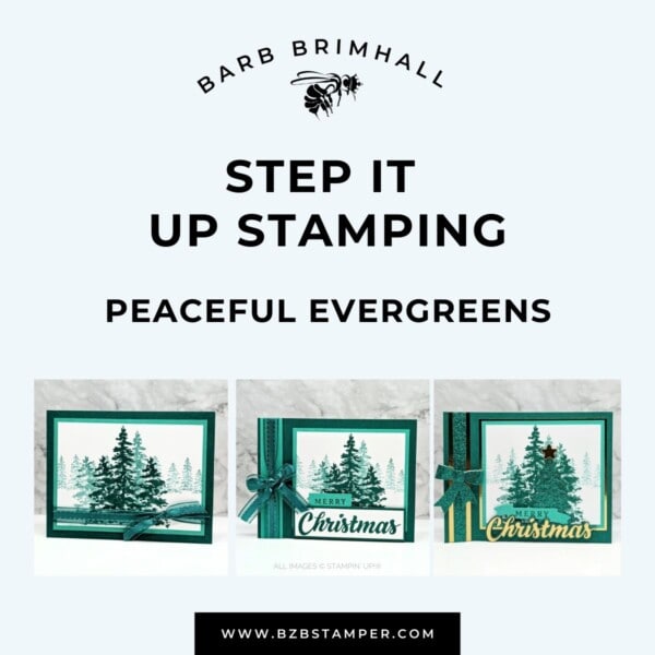 111024 Peaceful Evergreens Step It Up Stamping Instructions