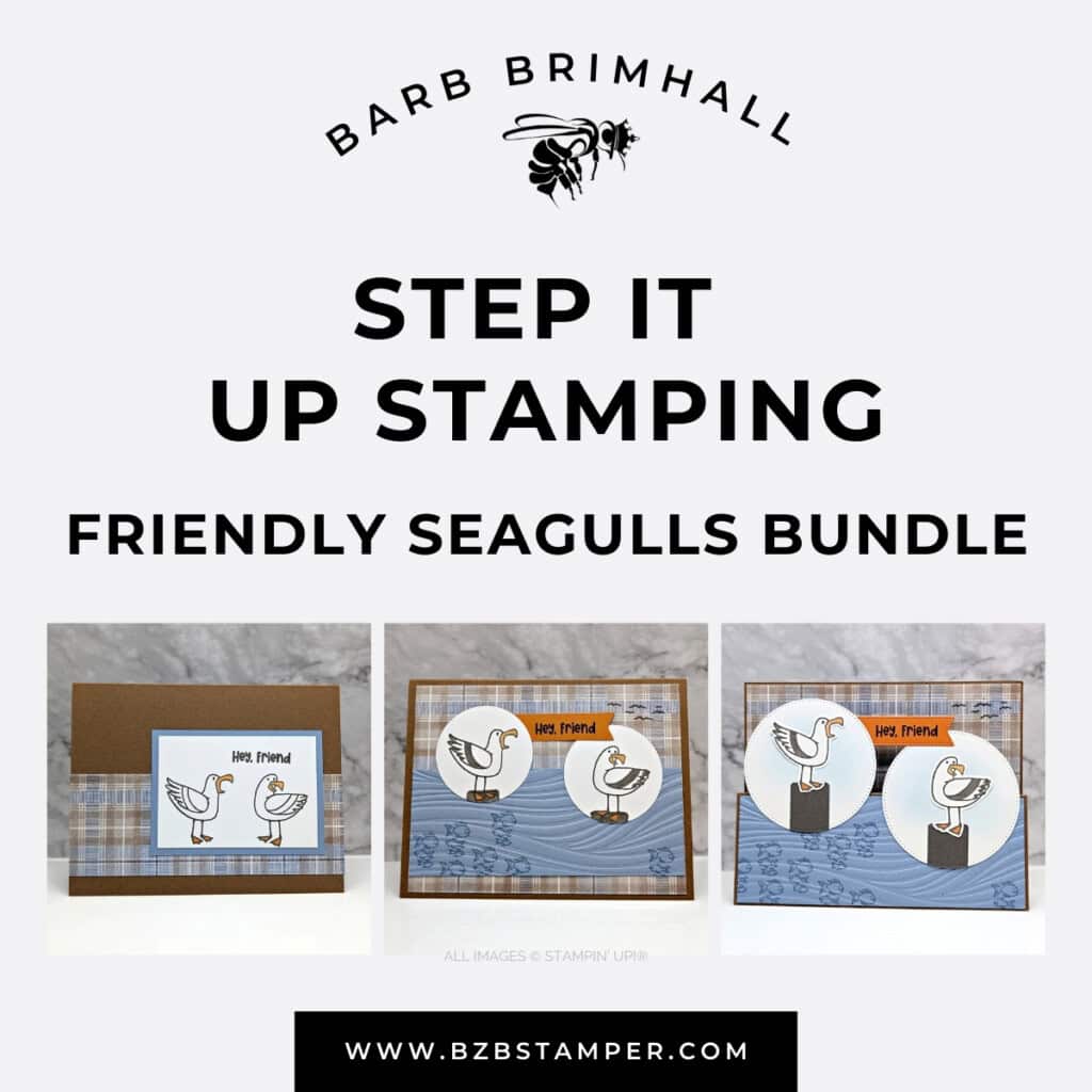 3 Cards using the Friendly Seagulls Stamp Set