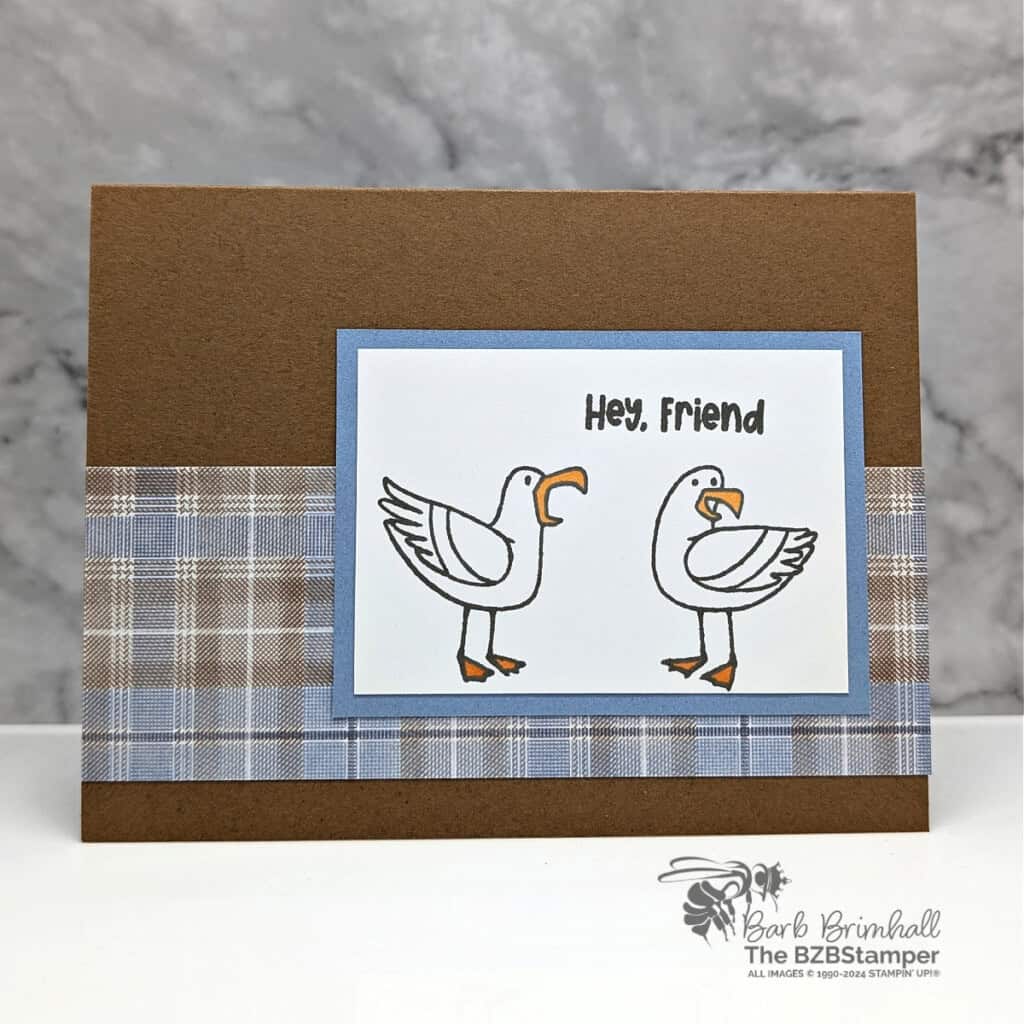 122924 stampin up friendly seagulls 1bb