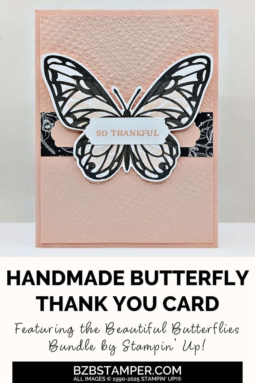 020725 stampin up beautiful butterflies pin1a