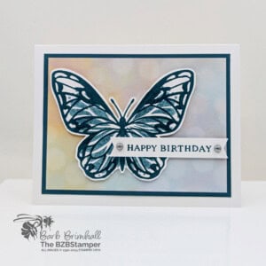 021625 stampin up beautiful butterflies sius 2wb