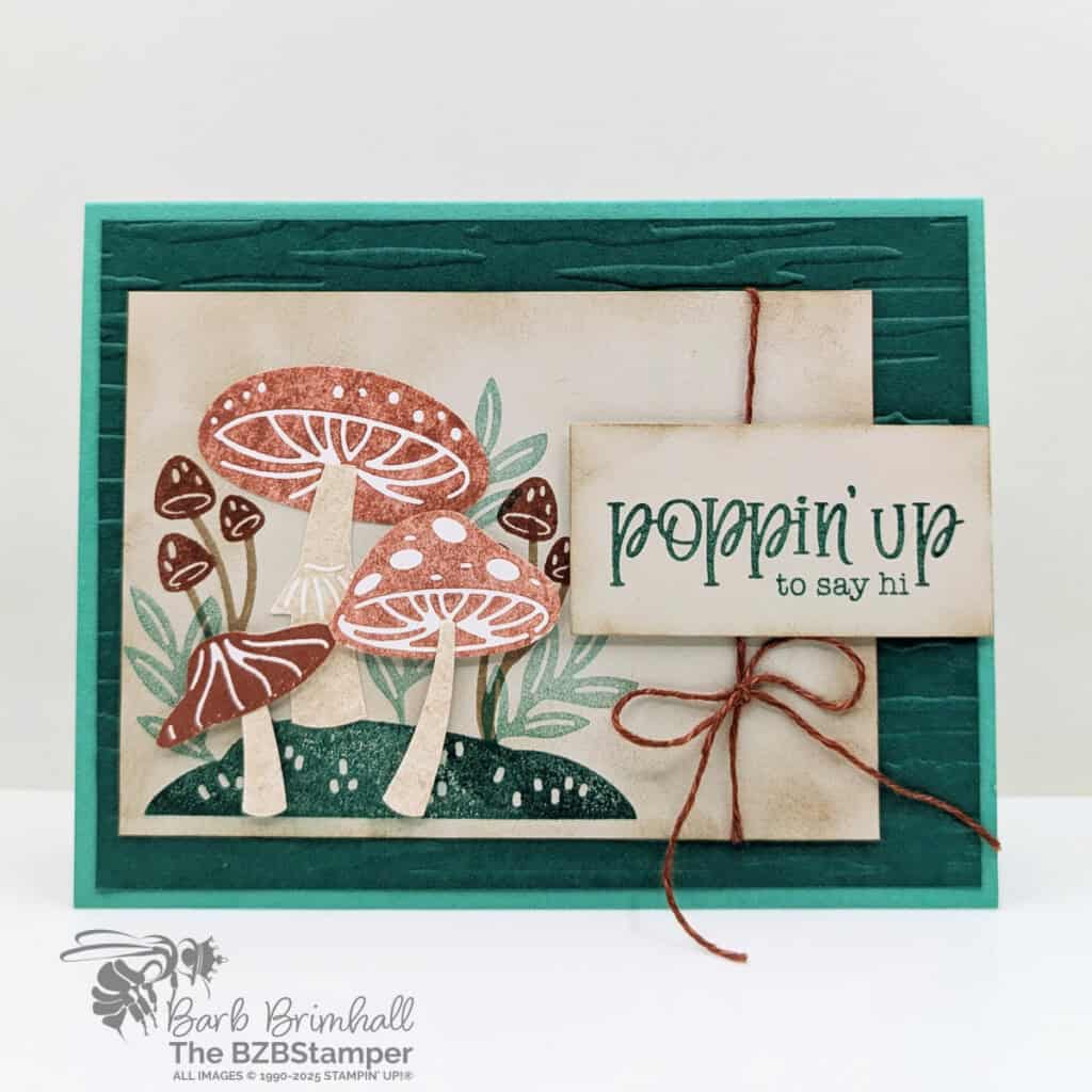 3 Cards using the Terrific Toadstools Bundle featuring toadstools in browns and greens and a "Poppin' Up To Say Hi" sentiment.