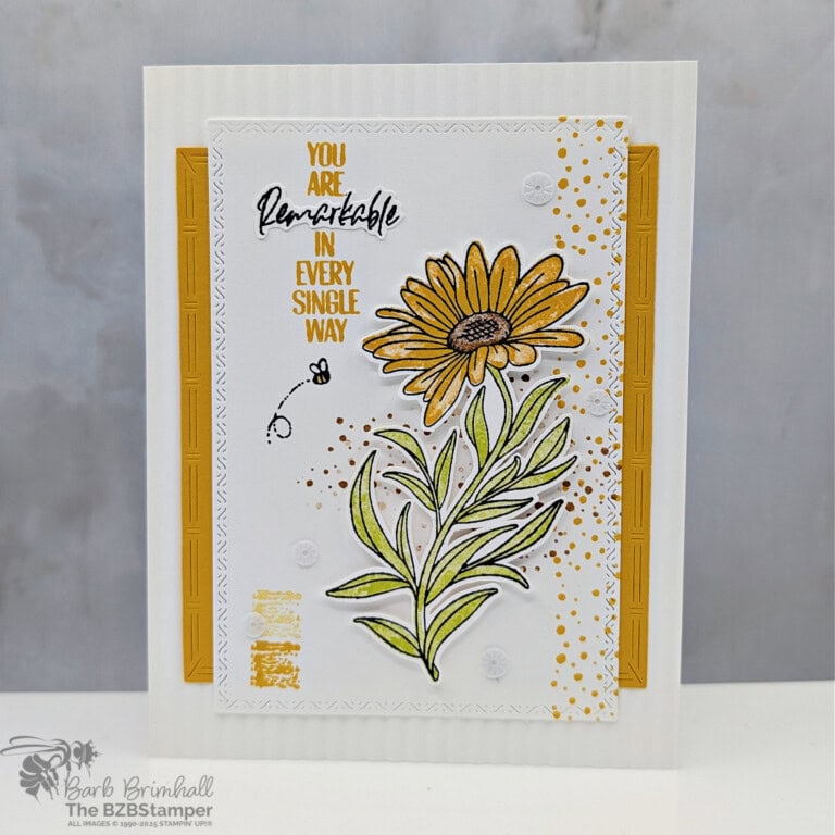 3 Cards using the You Are Remarkable Stamp Set