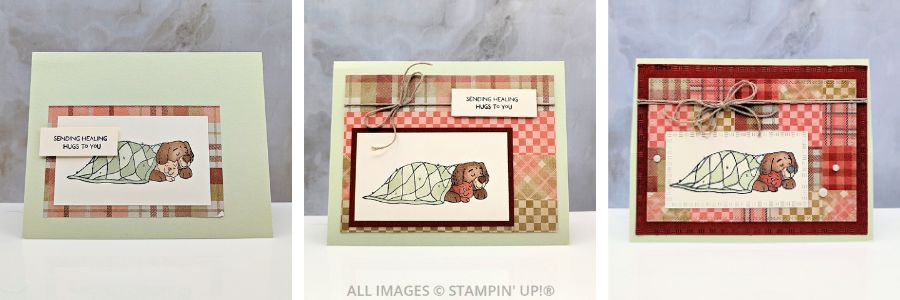 3 Cards using the Hugs and Healing Stamp Set 1 3 Cards using the Hugs and Healing Stamp Set featuring a cat and dog snuggled under a comfy blanket and a sentiment that says "Sending healing hugs to you."