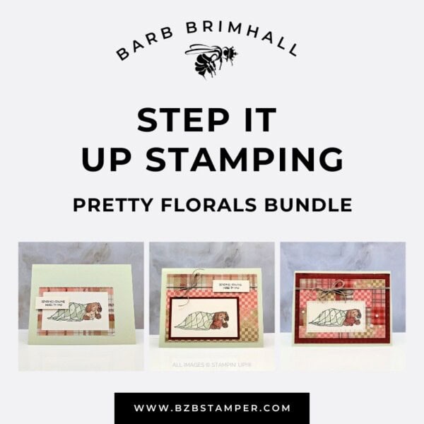 Hugs and Healing Step It Up Stamping Tutorial featuring a dog & cat snuggled under a blanket with the sentiment "healing hugs to you."