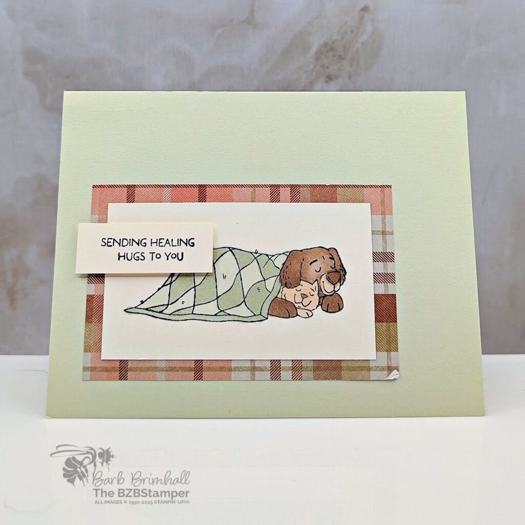 3 Cards using the Hugs and Healing Stamp Set 2 042725 stampin up hugs and healing sius 1bb