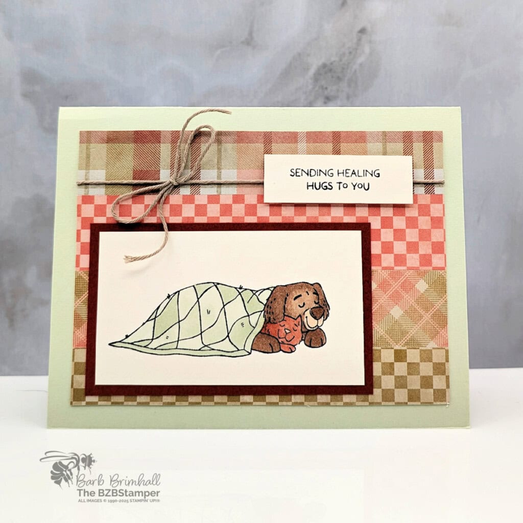 3 Cards using the Hugs and Healing Stamp Set 3 042725 stampin up hugs and healing sius 2wb