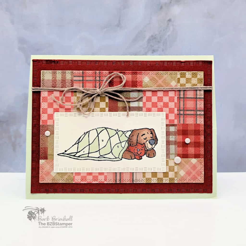 3 Cards using the Hugs and Healing Stamp Set 4 3 Cards using the Hugs and Healing Stamp Set featuring a cat and dog snuggled under a comfy blanket and a sentiment that says "Sending healing hugs to you."