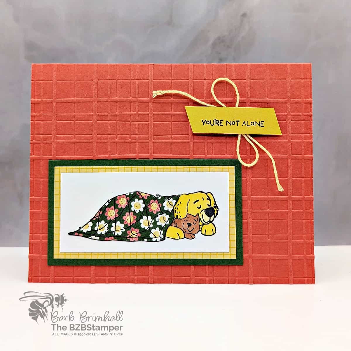 Send Comfort with the Hugs and Healing Stamp Set 1 Send Comfort with the Hugs and Healing Stamp Set in oranges and yellows, featuring a dog & cat snuggled up under a floral blanket with a "you're not along" sentiment.