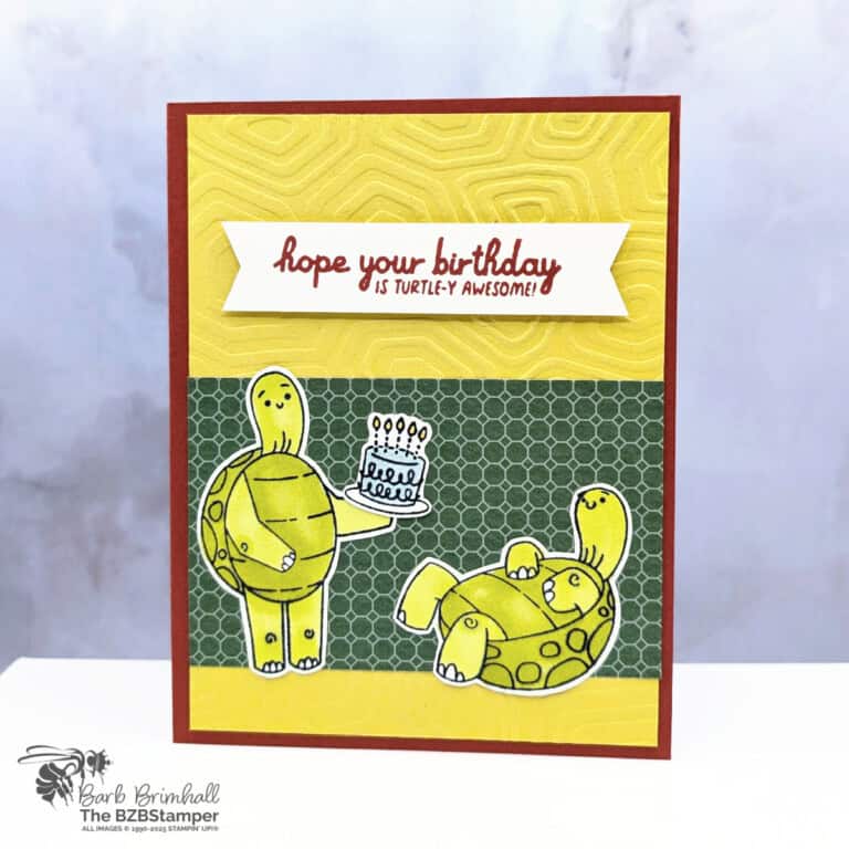 3 Cards using the Turtle-y Awesome Bundle