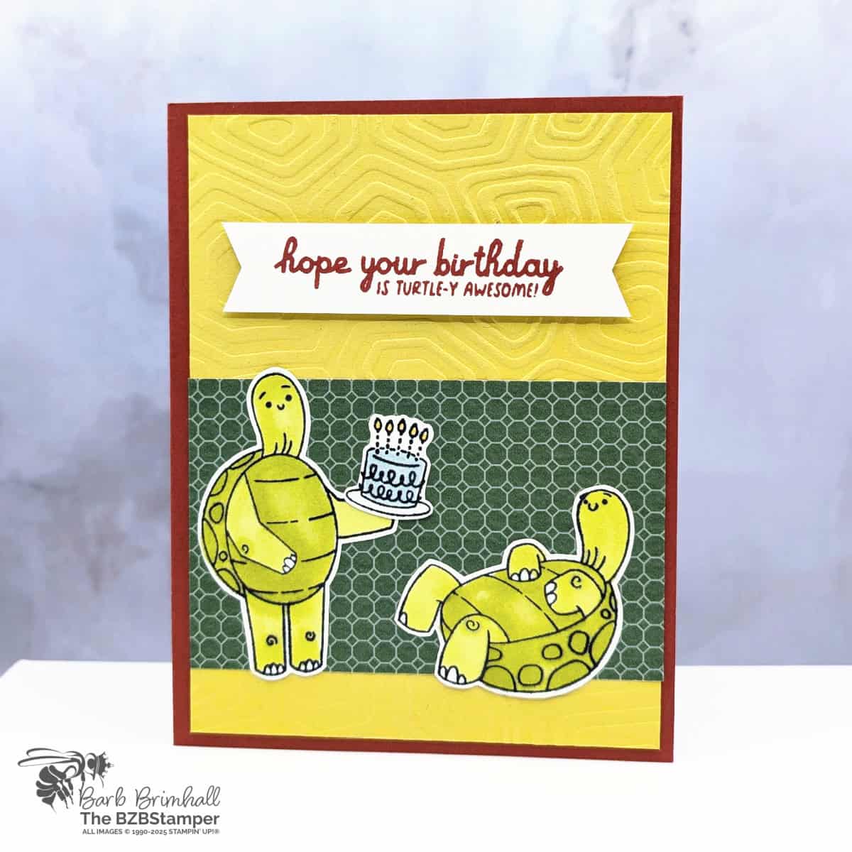 3 Cards using the Turtle-y Awesome Bundle