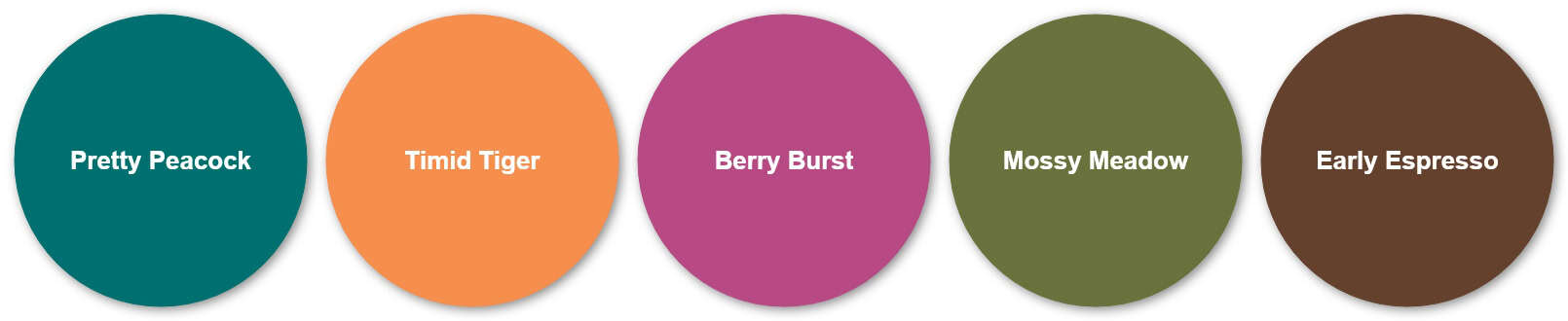 Monthly Crafting Subscription Box 3 colors