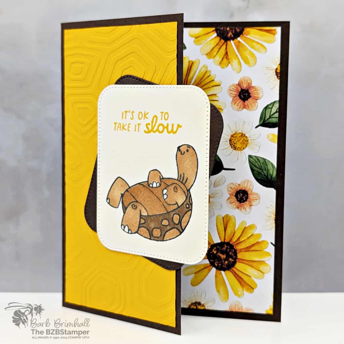 Turtle-y Cute All-Occasion Card Idea