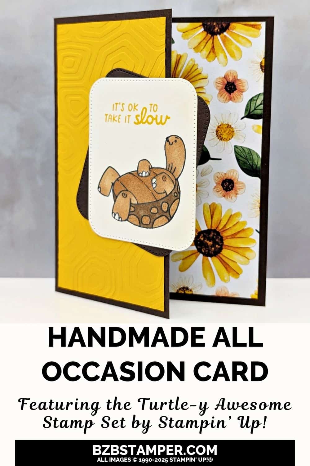 071725 stampin up turtle y awesome pin1
