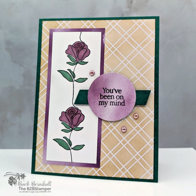 Serene All Occasion Card with Along These Lines Stamp Set