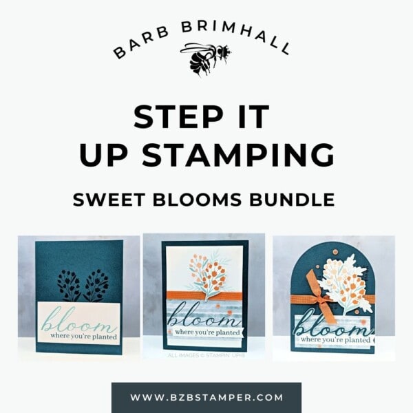 Step It Up Stamping Sweet Blooms Bundle Tutorial