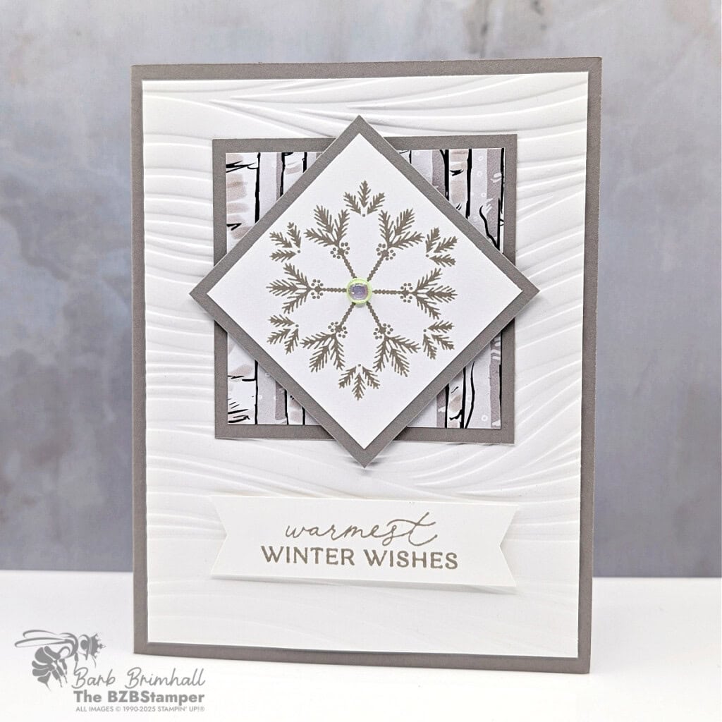 091525 stampin up delicate pines 2