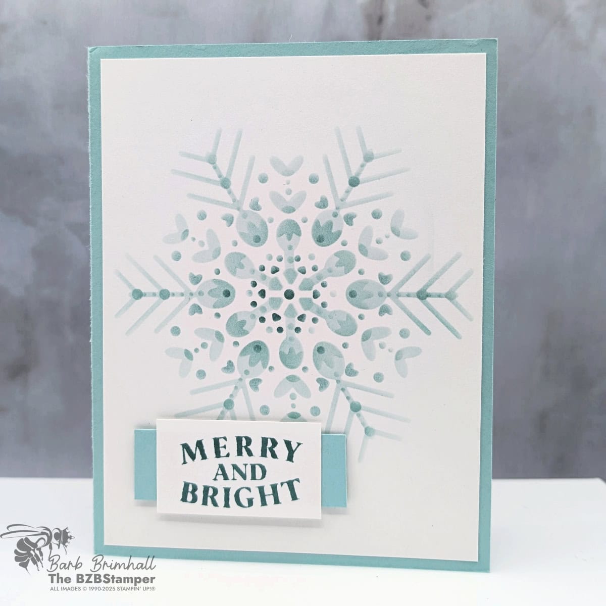 092825 snowy delight masks sius 1bb