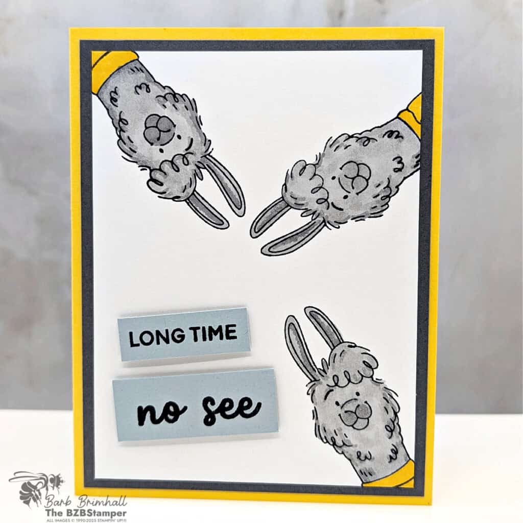 092925 stampin up long time no see 4